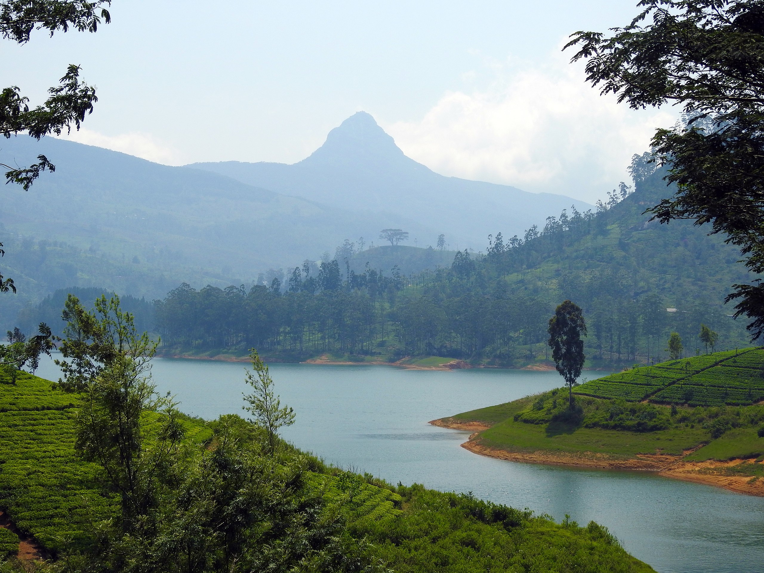 Adams Peak